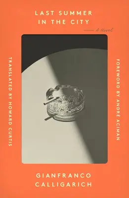 Last Summer in the City Review: Living in the Leftovers of Postwar Italy Cover of Last Summer in the City by Gianfranco Calligarich