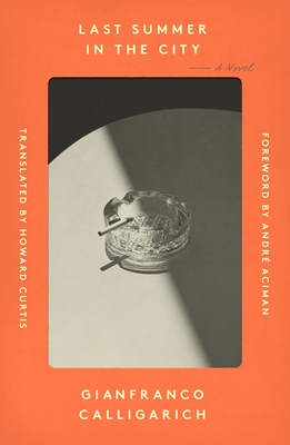 Cover of Last Summer in the City by Gianfranco Calligarich